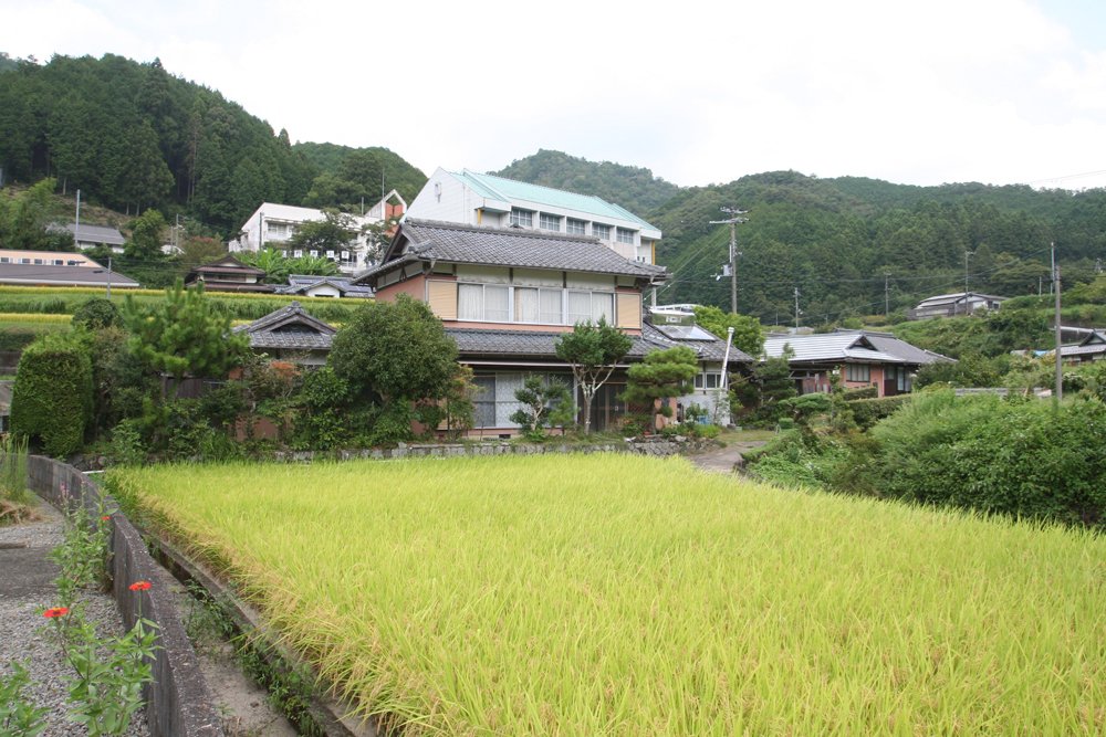 「稲作が出来る田舎暮らし物件！有田川町久野原の物件」のメイン画像