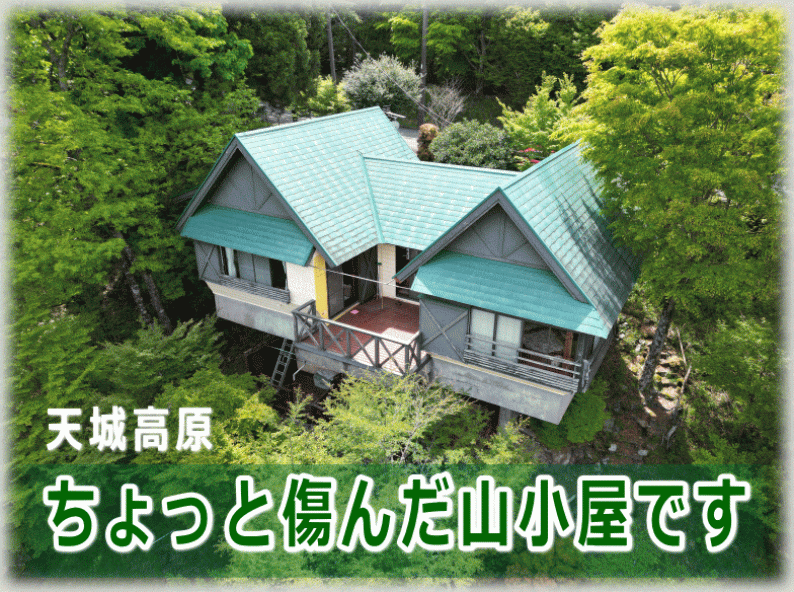 「絶景の高原で四季を楽しむ！伊豆市冷川の山小屋物件」のメイン画像