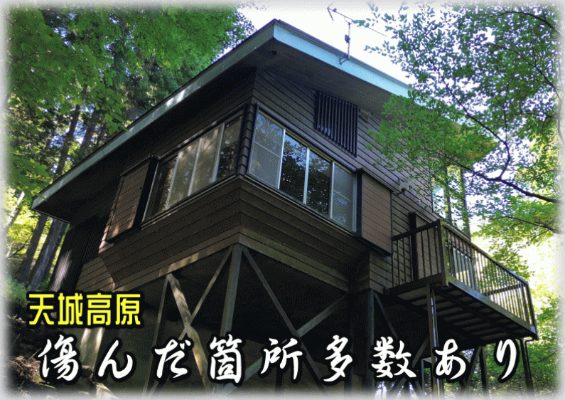 「室内は魅力的な忍者の隠れ家風！伊豆市冷川の物件」のメイン画像