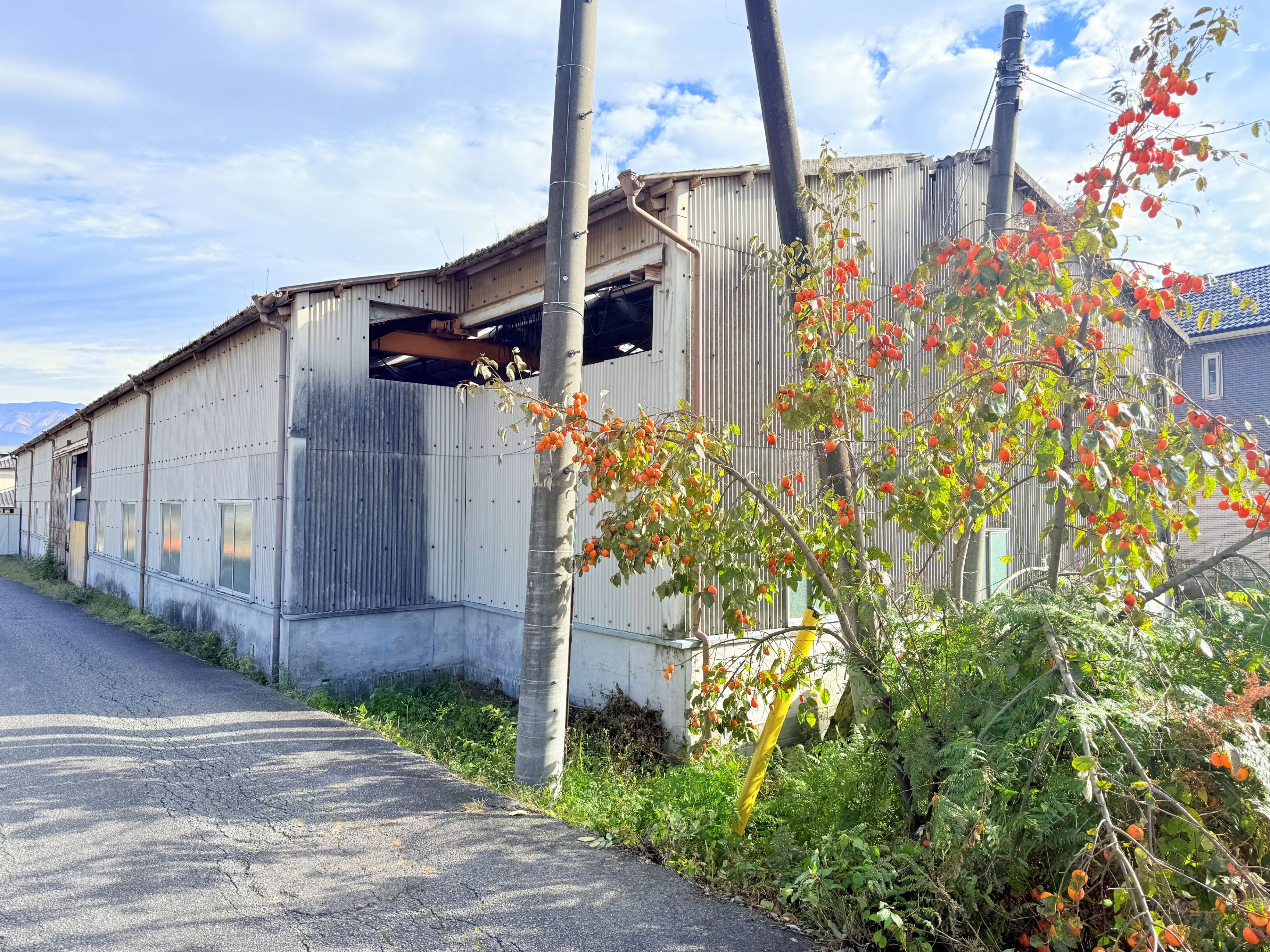 宅地947㎡。売主にて更地にし、引き渡します。の画像2