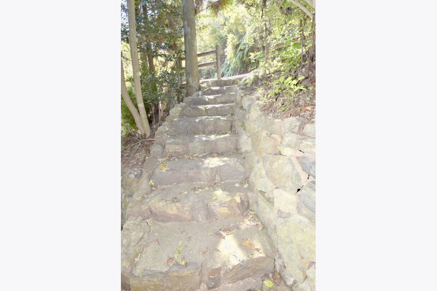 緑に囲まれた安心の別荘地！上郡町播磨自然高原の2LDK別荘物件の画像3