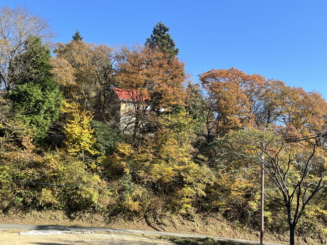 天井が高く広いリビング！津市白山町伊勢見の戸建て物件の画像4