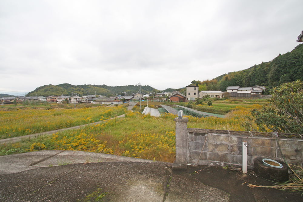 長閑な田園風景田付き！海南市原野の物件の画像3