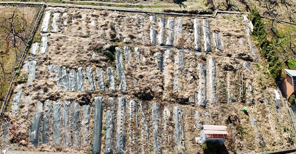 和歌山県伊都郡かつらぎ町笠田中の画像4