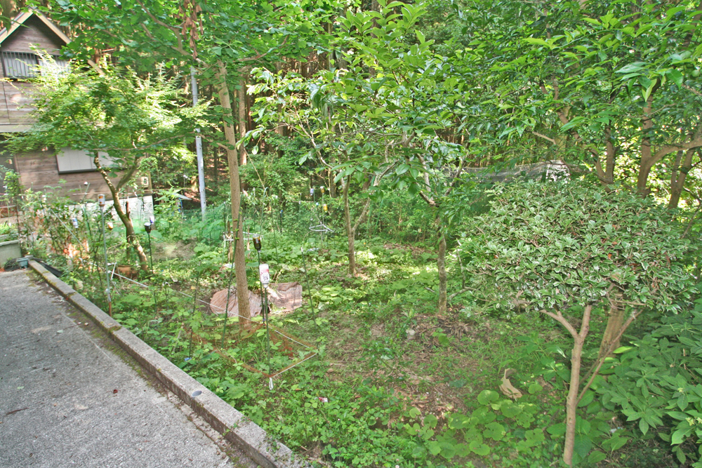 絶景の生石高原別荘！有田川町生石の物件の画像4