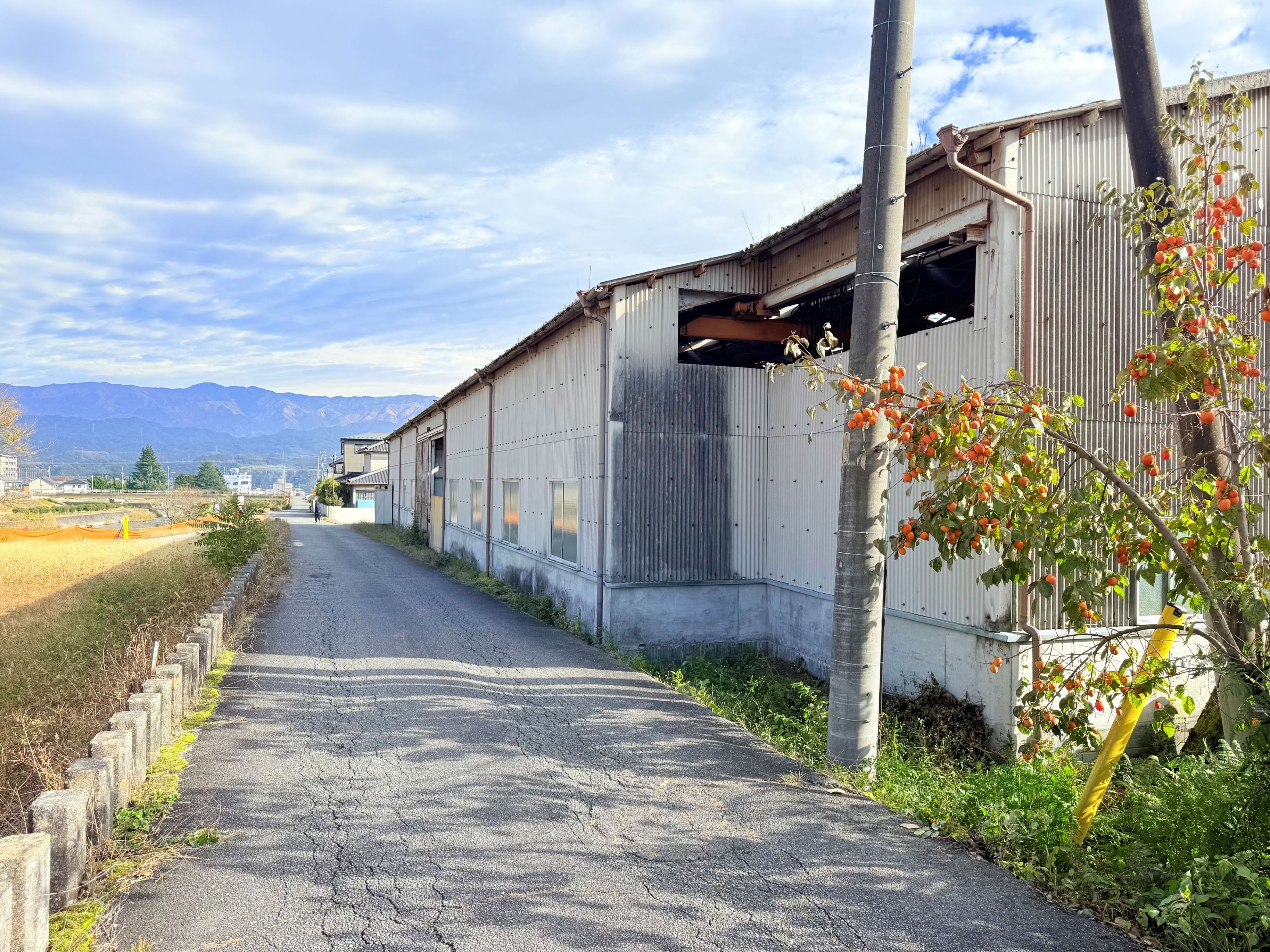 宅地947㎡。売主にて更地にし、引き渡します。の画像5