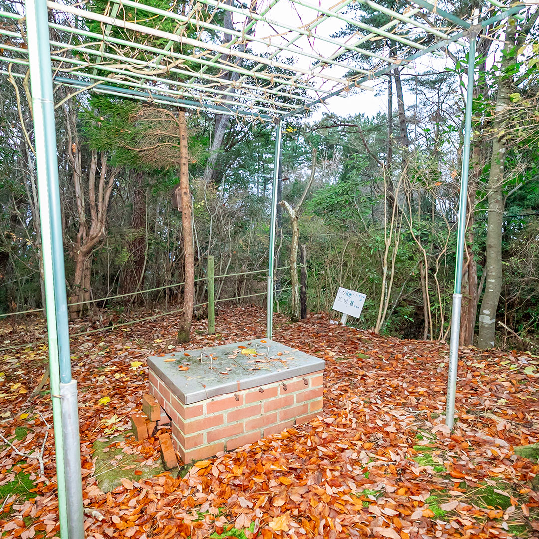 四季折々の景色を楽しむ！有田川町のログハウス物件の画像6