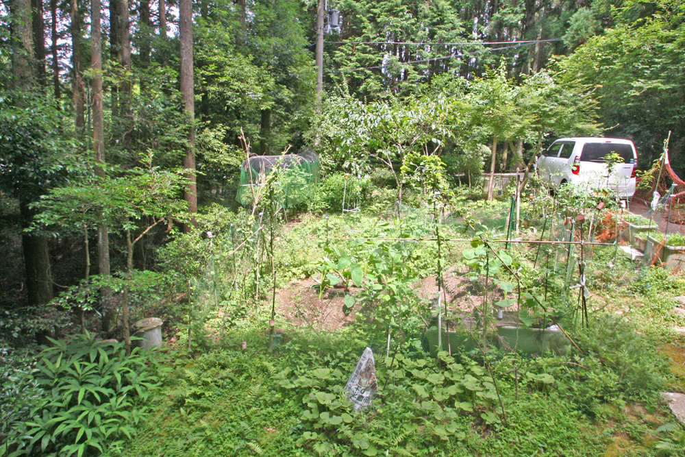 絶景の生石高原別荘！有田川町生石の物件の画像5