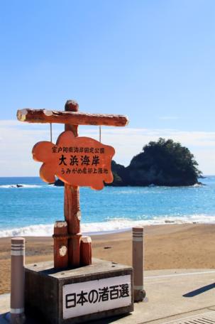 釣り好き必見！海まで徒歩数秒の美波町恵比須浜の中古別荘物件の画像6