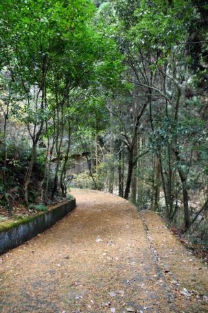 目の前で川遊びが楽しめる！五條市田殿町の中古別荘物件の画像6