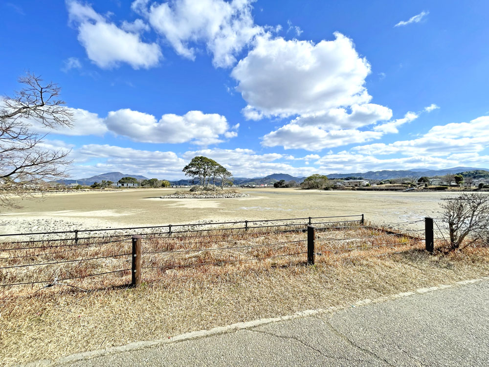 農ある暮らしを愉しむ！紀の川市貴志川町長原の邸宅物件の画像5