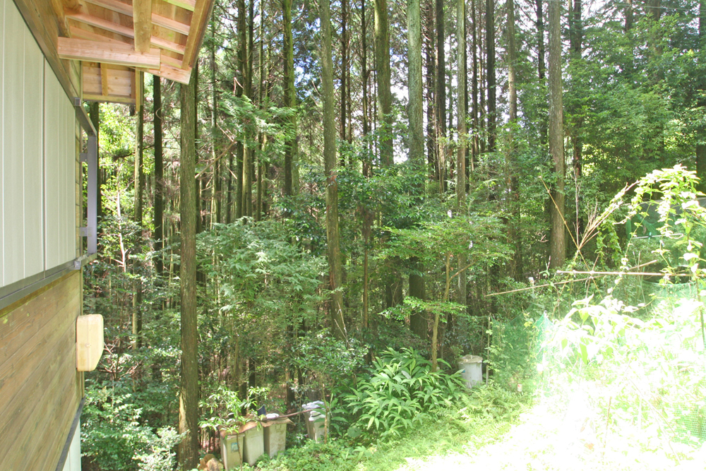 絶景の生石高原別荘！有田川町生石の物件の画像6