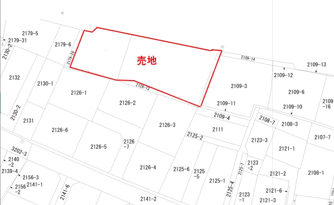 宅地947㎡。売主にて更地にし、引き渡します。の画像6