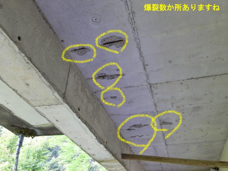 絶景の高原で四季を楽しむ！伊豆市冷川の山小屋物件の画像8