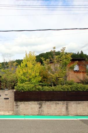 満開の桜並木を望む！丹波篠山市大山新の中古戸建物件の画像8