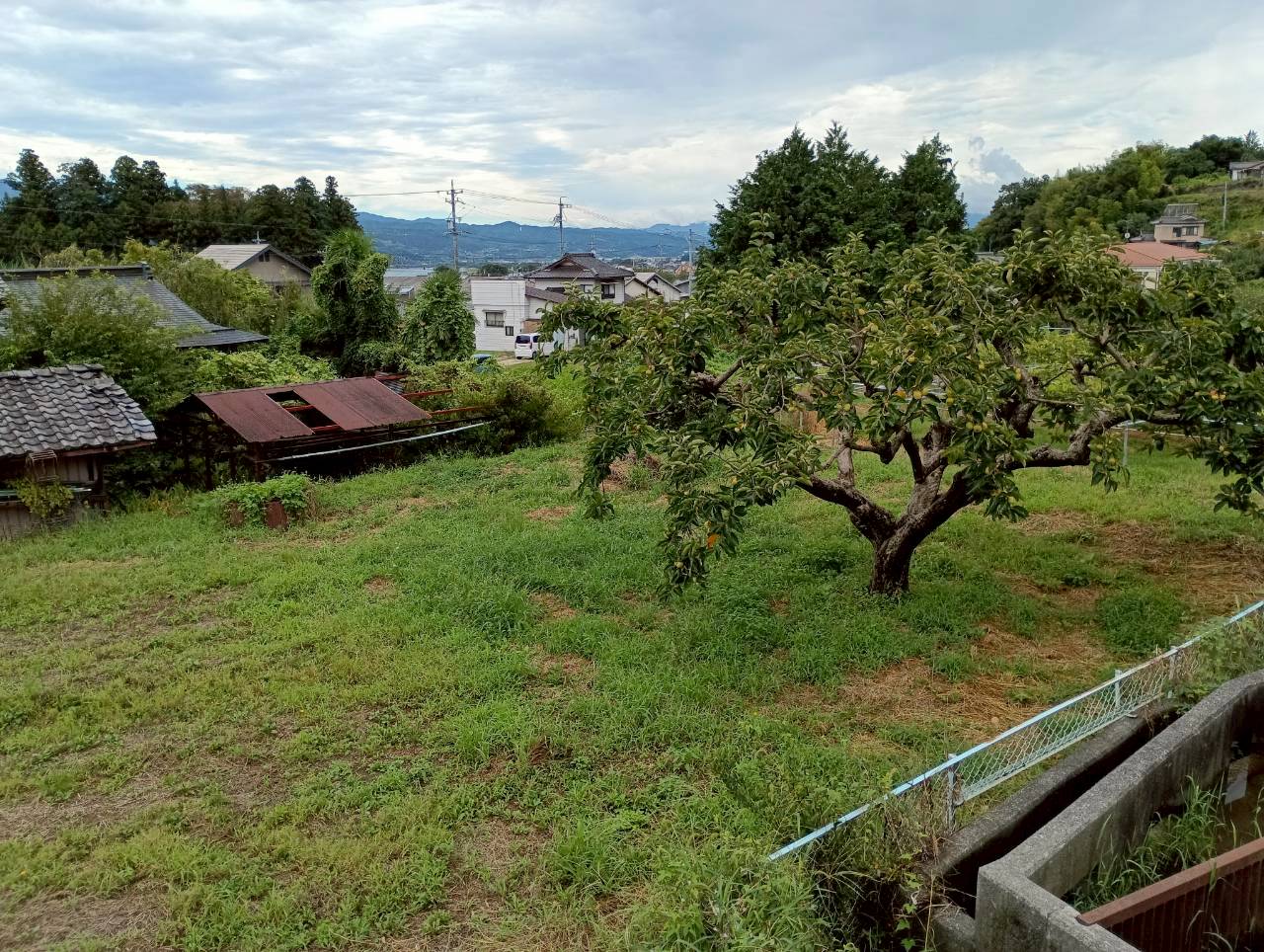 売主負担にて、更地にして引き渡します。の画像7