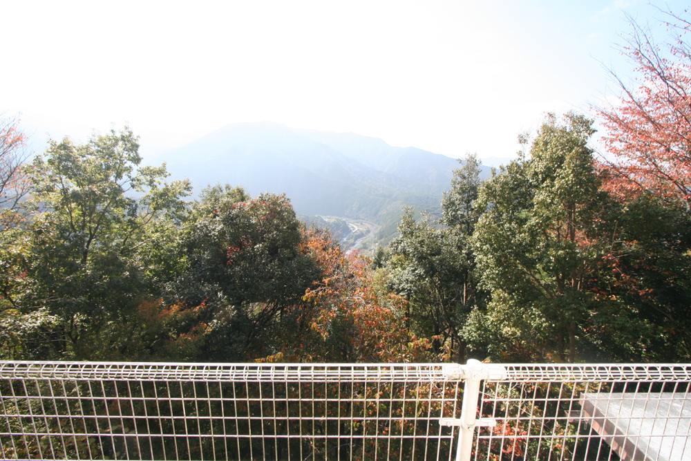 清流と里山の眺望が楽しめる！有田川町粟生のログハウス物件の画像8