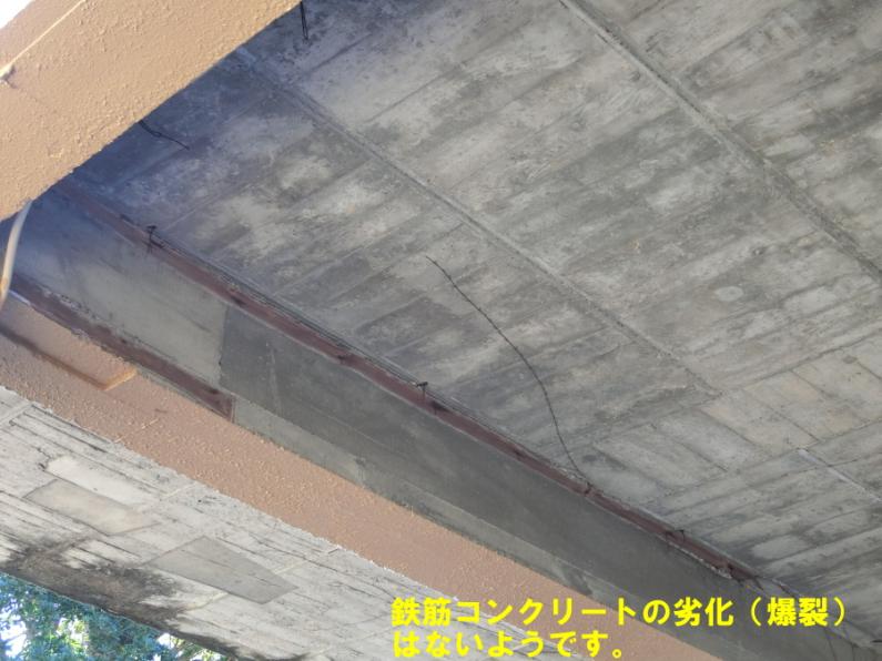 オーシャンビューが魅力！伊東市八幡野の平屋物件の画像10