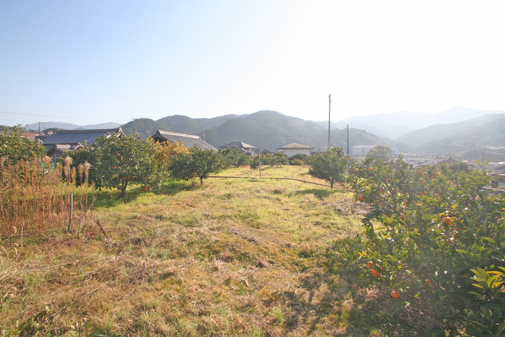 蔵付き大型古民家！紀美野町下佐々の物件の画像9
