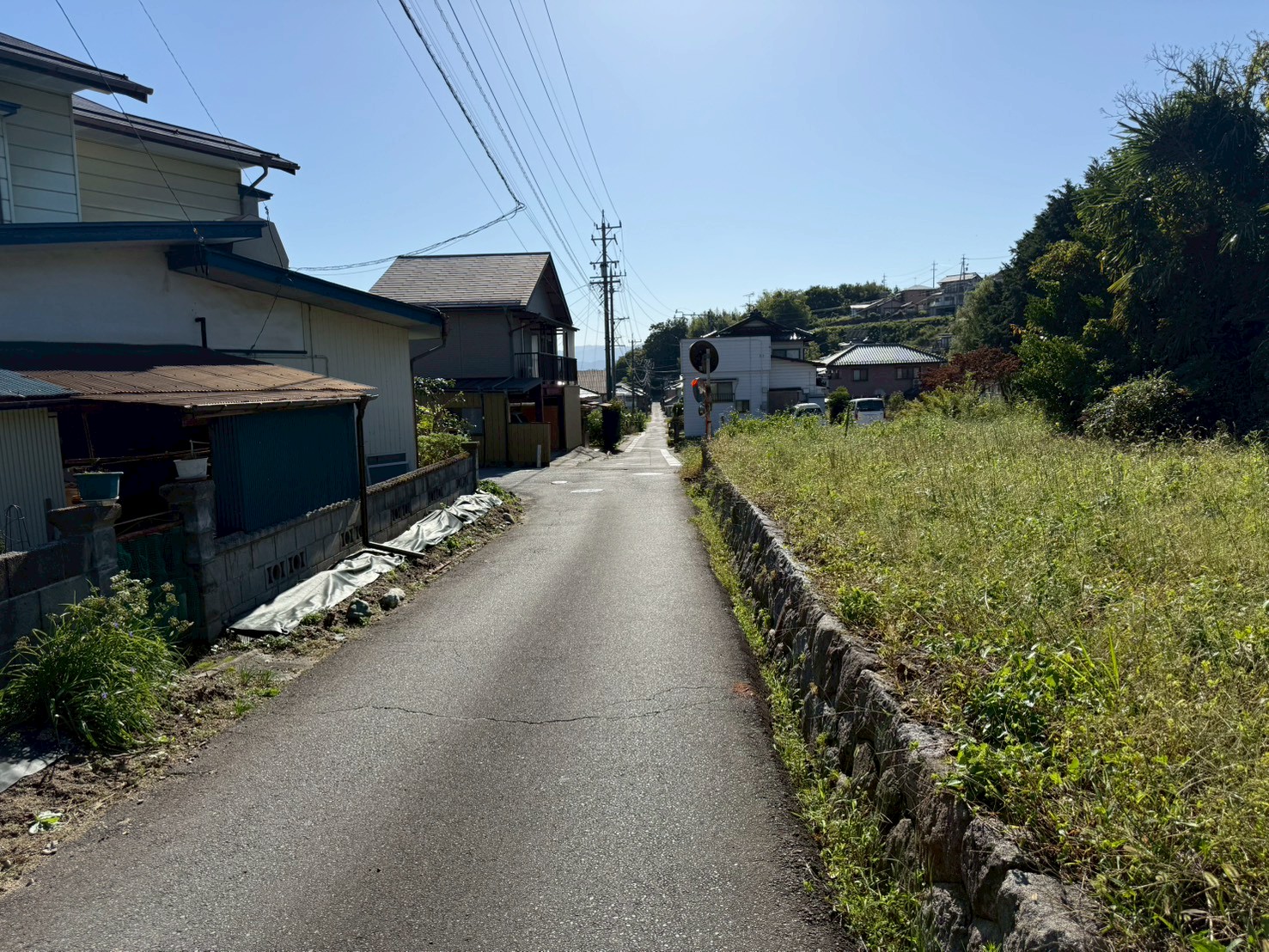 売主負担にて、更地にして引き渡します。の画像10