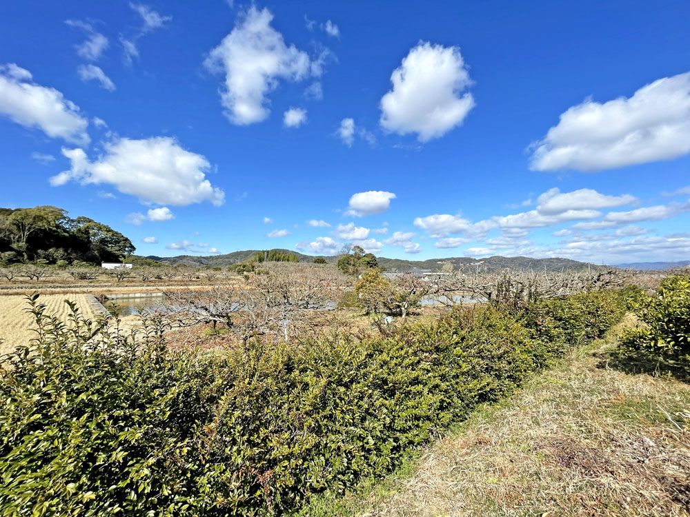 農ある暮らしを愉しむ！紀の川市貴志川町長原の邸宅物件の画像10