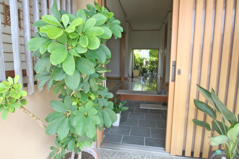 釣り場近くで自然満喫！日高町小中の平屋物件の画像11