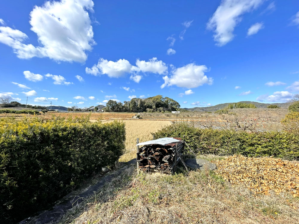 農ある暮らしを愉しむ！紀の川市貴志川町長原の邸宅物件の画像11