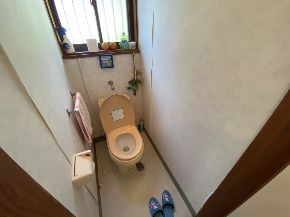 買物便利!海南市下津町方の物件の画像12