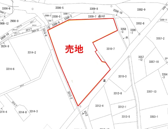 売主負担にて、更地にして引き渡します。の画像11
