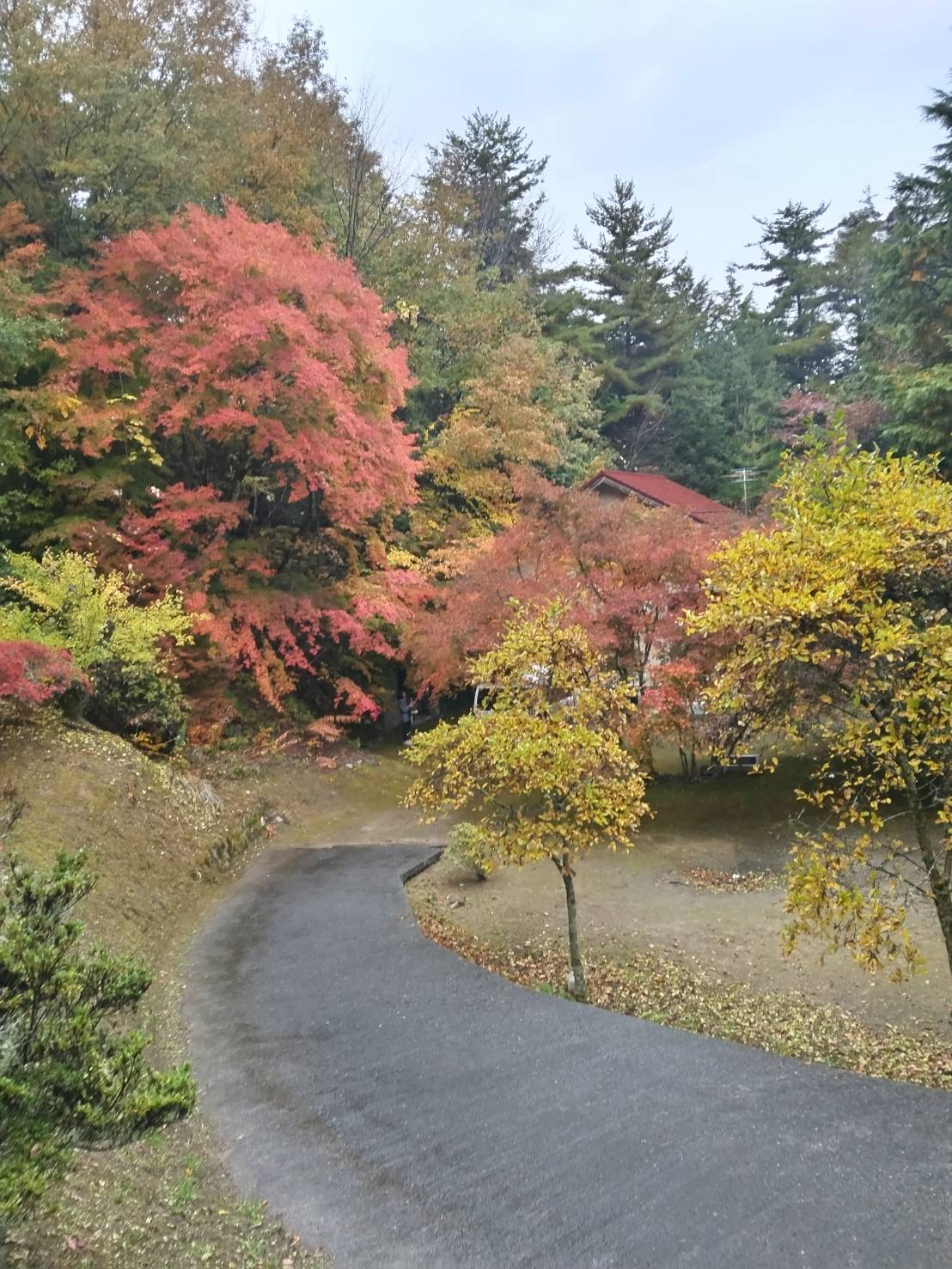 避暑地として最適！木に囲まれた静かな立地。まわりを気にせず過ごせる環境です。の画像13