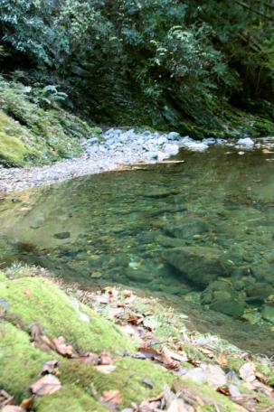 目の前で川遊びが楽しめる！五條市田殿町の中古別荘物件の画像13