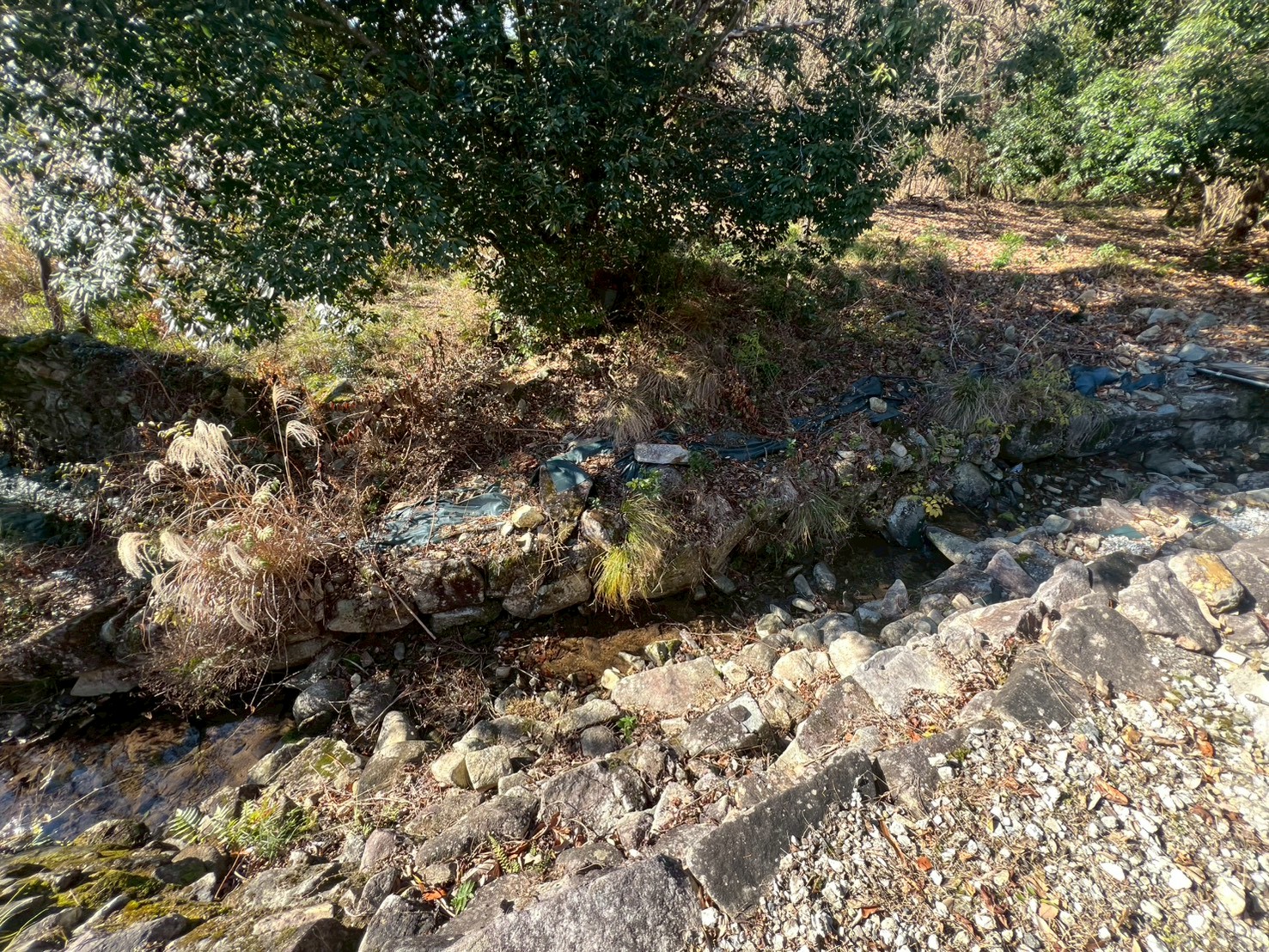 豊かな自然に囲まれた非日常！西脇市黒田庄町のコンテナ物件の画像12