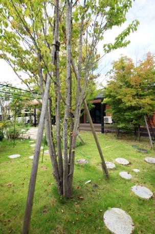 満開の桜並木を望む！丹波篠山市大山新の中古戸建物件の画像14
