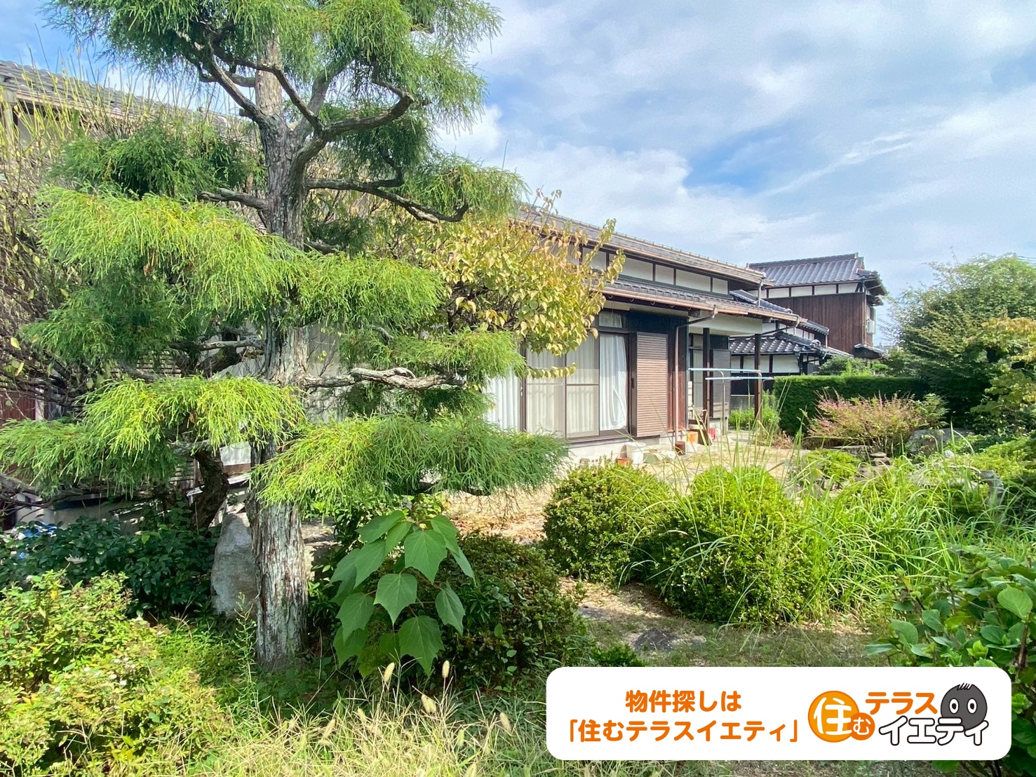 枯山水の趣きを感じる庭園付き！宇部市大小路1丁目10-3の平家建中古住宅物件の画像15