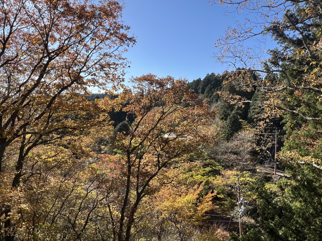 天井が高く広いリビング！津市白山町伊勢見の戸建て物件の画像16