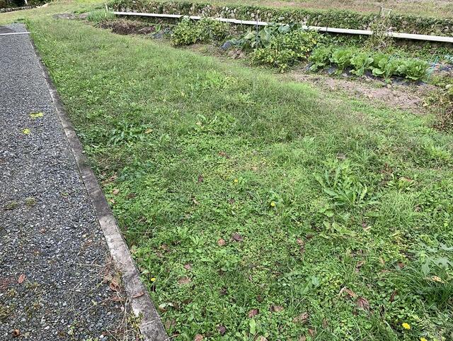 家庭菜園スペース付き！丹波市山南町下滝の2階建物件の画像16