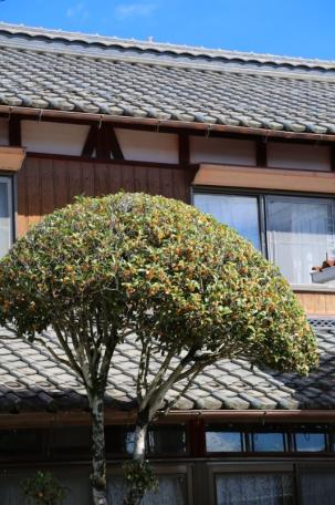 ☆広～い家です！高島市安曇川町下古賀の中古戸建物件の画像17