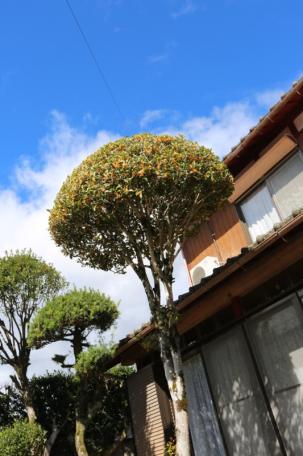 ☆広～い家です！高島市安曇川町下古賀の中古戸建物件の画像18