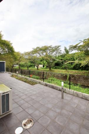 満開の桜並木を望む！丹波篠山市大山新の中古戸建物件の画像21