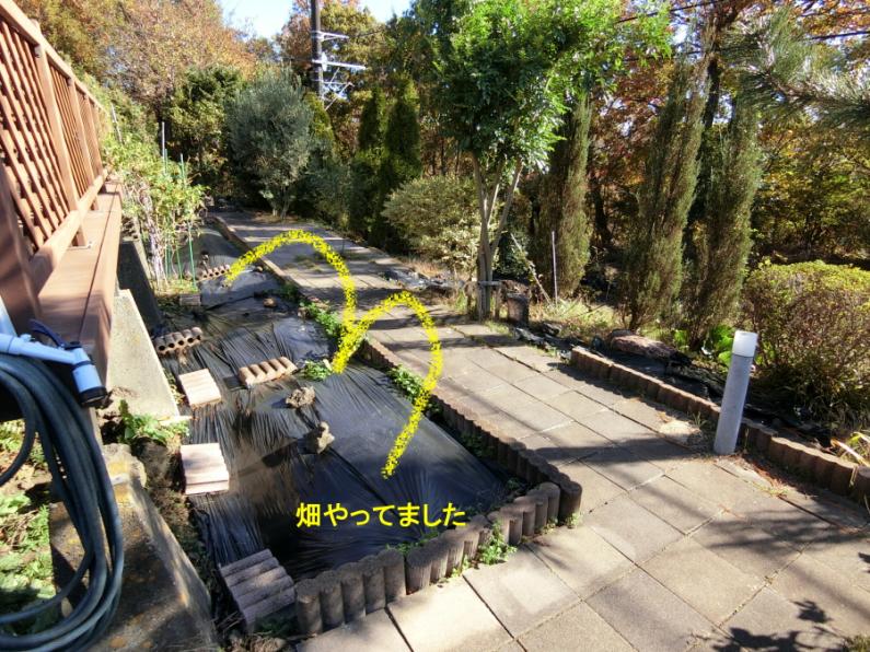 山籠もり体験ができる！伊東市八幡野の物件の画像28